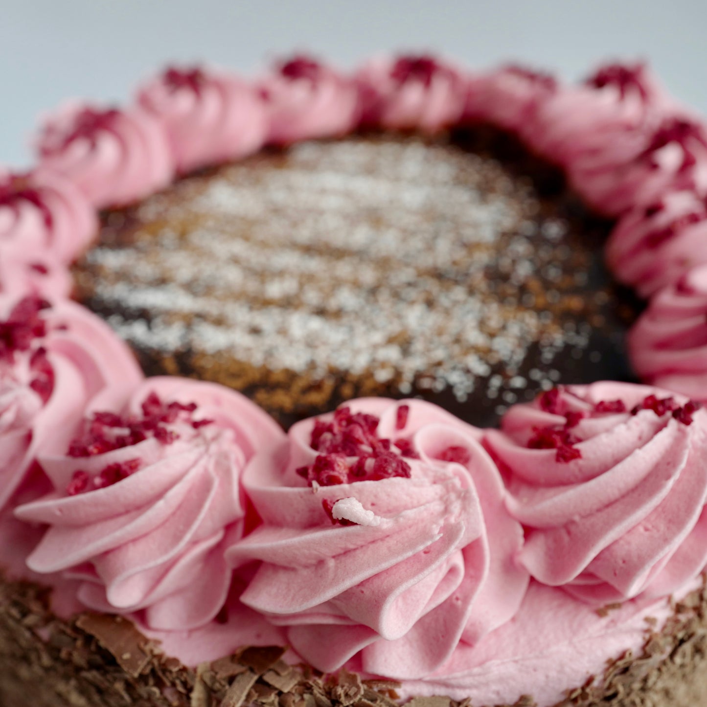 Chocolate Berry Cake (GF)