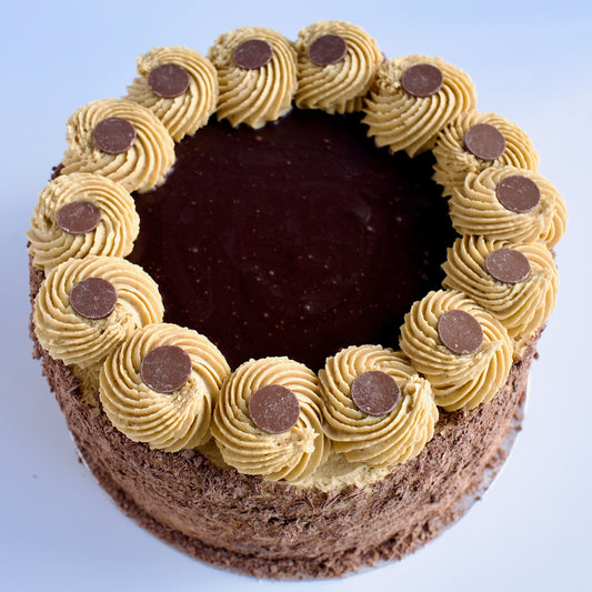 Tiramisu Cake