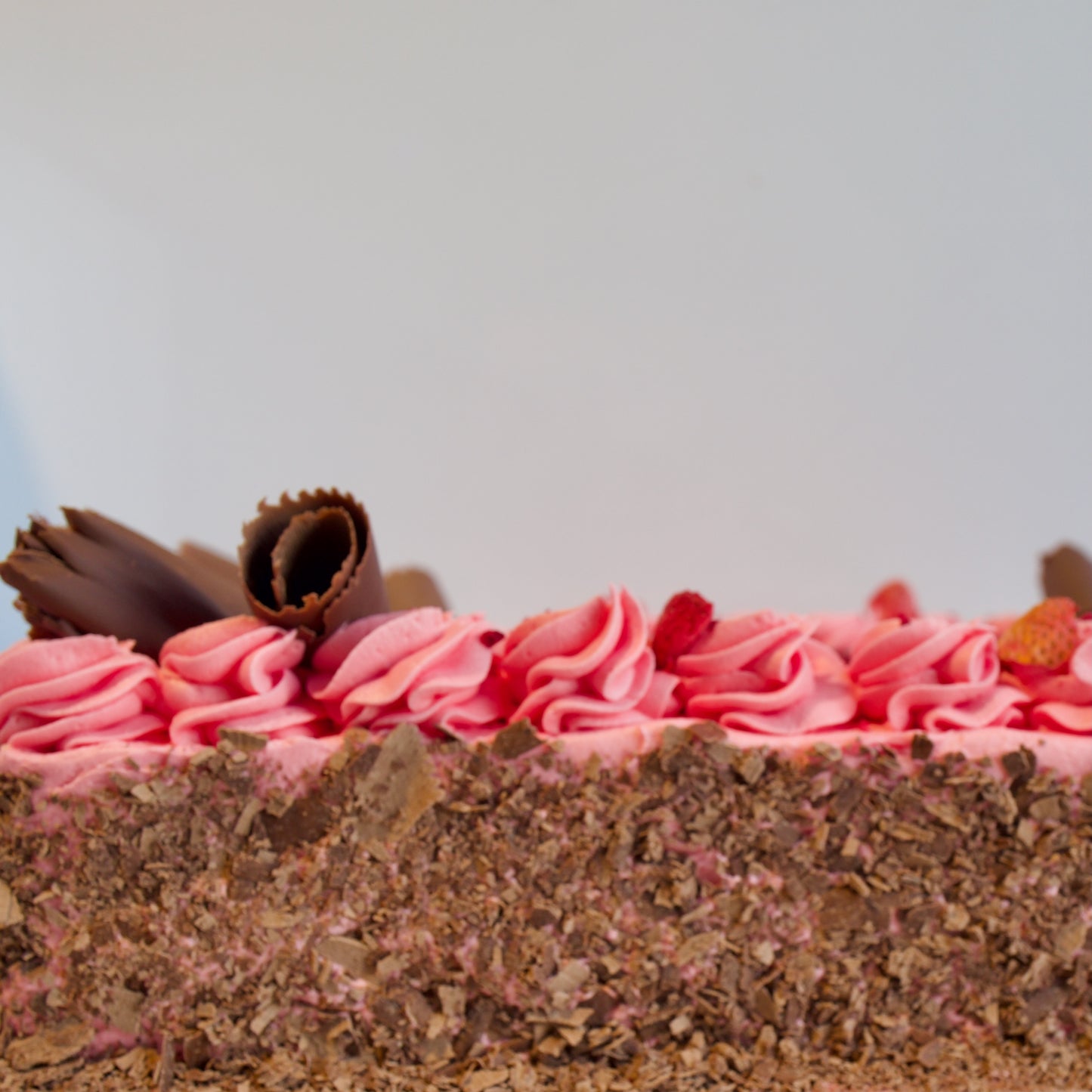 Chocolate Berry Cake (GF)